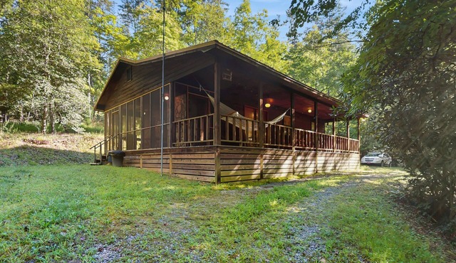 Secluded dog-friendly cabin on 3 gorgeous acres with a creek & firepit