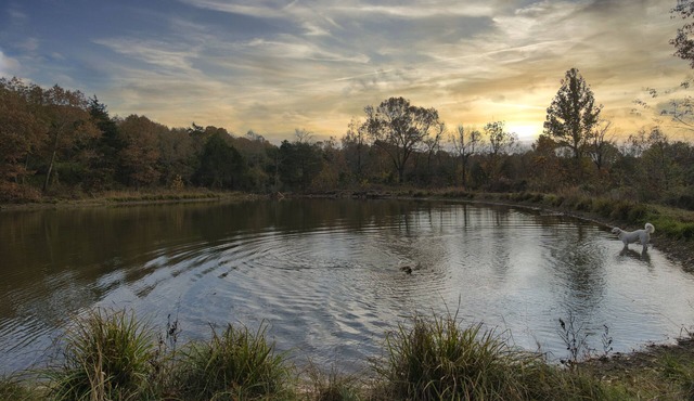 Secluded Estate Sleeps 8 with 1 acre fishing pond