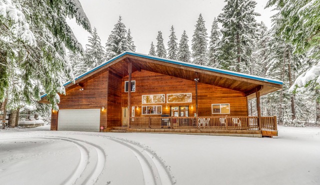 Secluded family friendly home w/patio & grill surrounded by pines