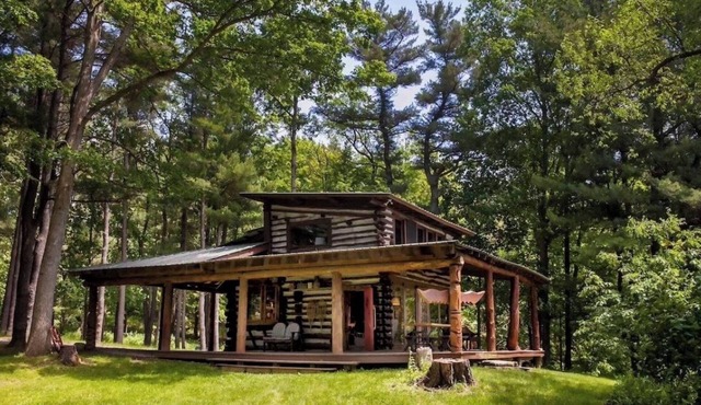 Secluded Finger Lakes Cabin near Watkins Glen. Views, Private Trails, Firepit