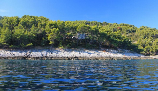 Secluded fisherman's cottage Cove Spiliska, Korcula - 9142