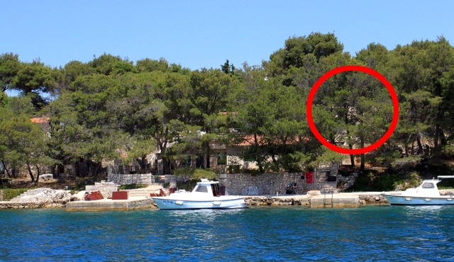 Secluded fisherman's cottage Lavdara, Dugi otok (K-8155)