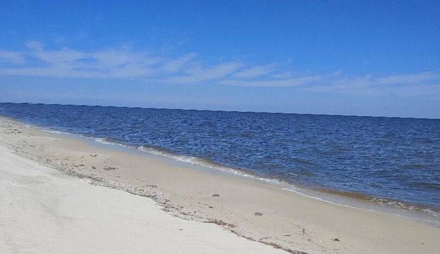 Secluded Florida Beach Bungalow-best of both worlds-BEACH TIME & FISHING TIME!