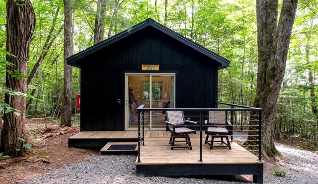 Secluded Forest Paradise: Cozy Cabin on 150 Acres in Transylvania County, NC
