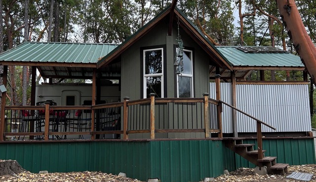 Secluded Forest Cabin on 55 Acres Quiet & Private