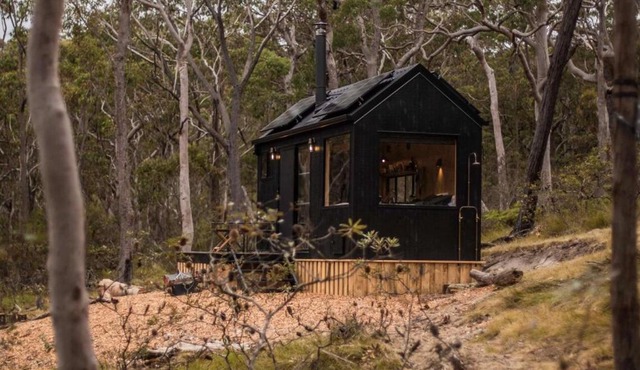 Secluded Forest Cabin with No Reception - Mira