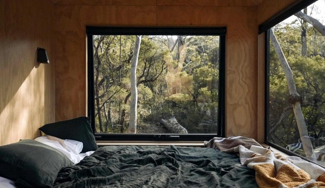 Secluded Forest Cabin with No Reception - Alon