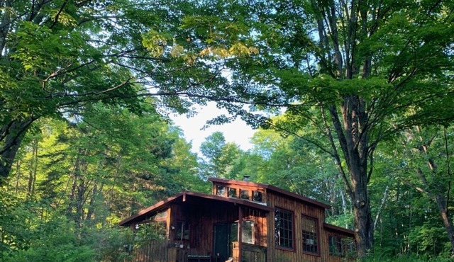Secluded forest hideaway with hot tub