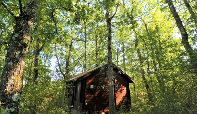Secluded Forest Tiny House with Views