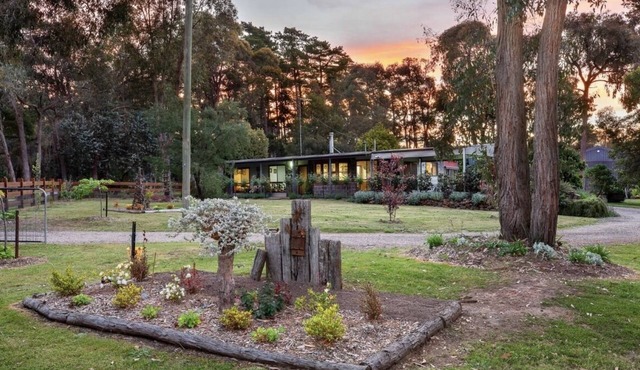 Secluded Forrest Find with separate studio, group and pet friendly