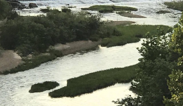 Secluded Garden Cabin Located on the Bourbeuse River