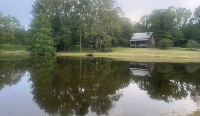 Secluded getaway cabin on 50 acres in the beautiful woods of Utica, MS.