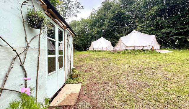 Secluded Glamping pod in Devon