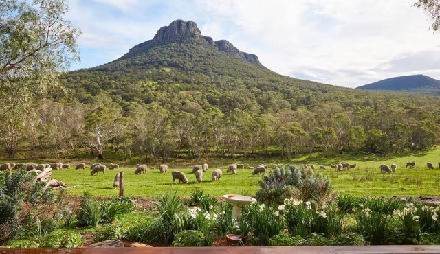 Secluded Grampians Cottage with Mountain Views & Wildlife