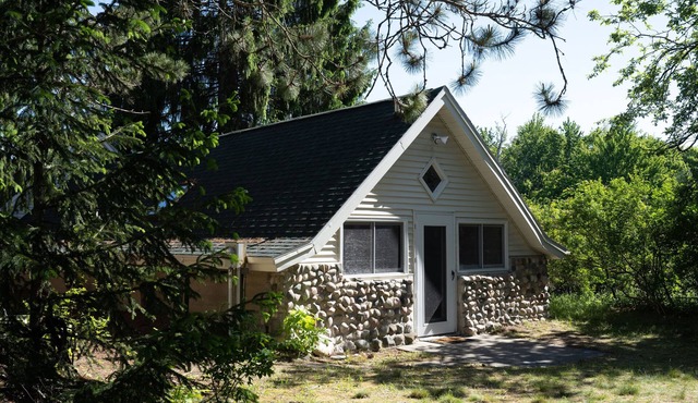 Secluded hideaway in the woods! Renovated, well appointed 1928 cottage