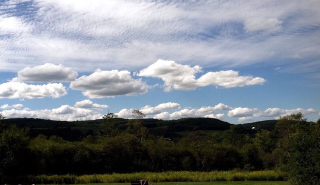 Secluded Hillside Property with Valley Views and Fishing Pond