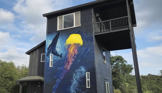 Secluded Hilltop Tower Private Pond EV Charger Firepit Sauna Cold Plunge Dogs ok