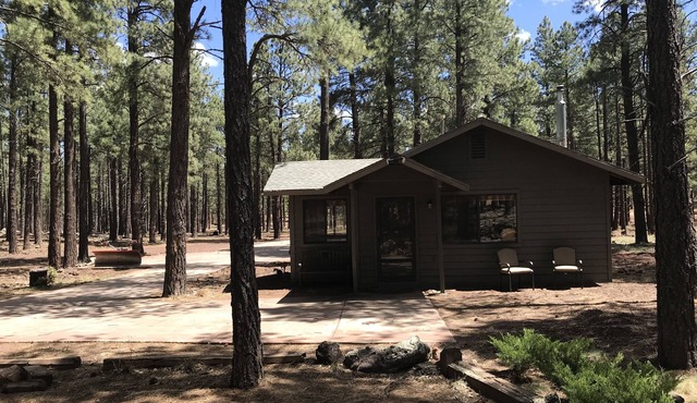 Secluded, Historic Wrigley Ranch Cabin- Pine Forest- 25 Acres Near Grand Canyon
