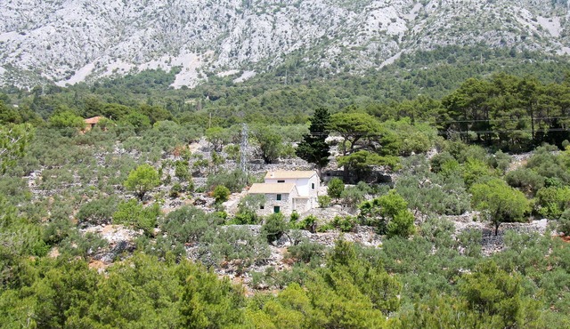 Secluded holiday house Živogošće - Mala Duba, Makarska (K-19811)