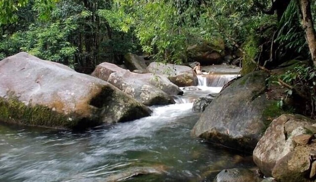 Secluded home hidden in an ancient and enchanted forest with crystal clear creek