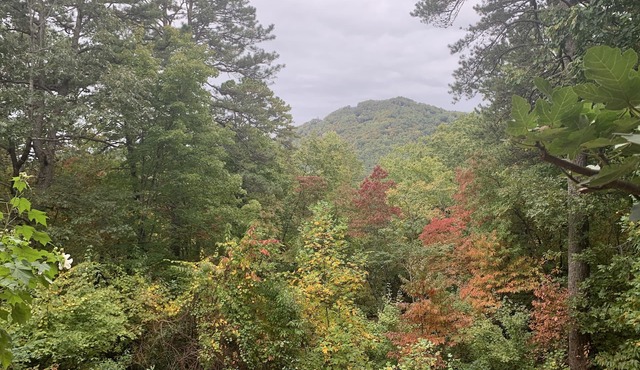Secluded home in the mountains and 5 minutes from downtown. Pet friendly!
