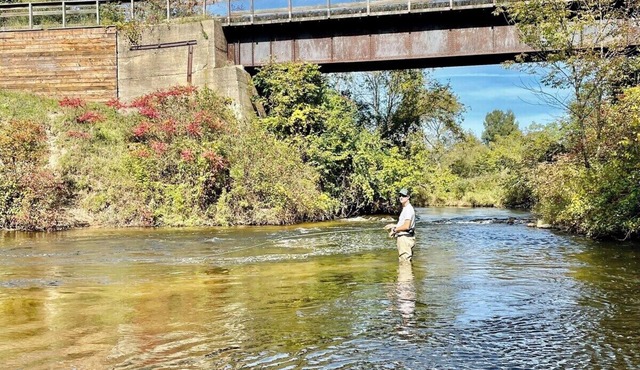 Secluded Home on Betsie River