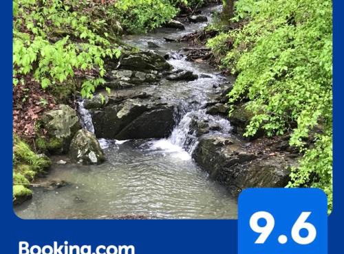 Secluded Home with Mini Waterfall and a Creek in Hot Springs