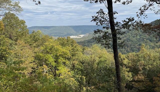 Secluded House on Cumberland Plateau with breathtaking views nestled on 60 Acres