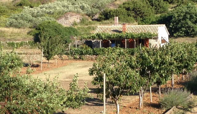 Secluded house with a parking space Podhumlje, Vis (K-13984)