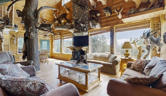 Secluded hunting lodge with amazing mounted collection, deck & firepit - dogs OK