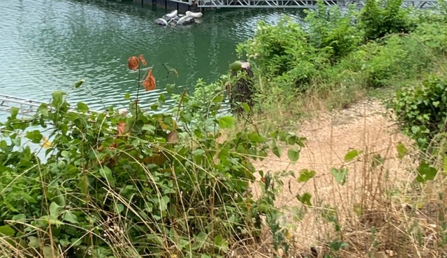 Secluded, lake view Cookson Bend Home