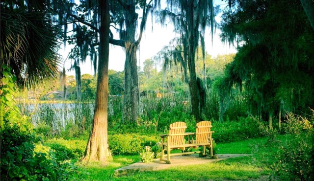 Secluded Lakefront House short drive to Beaches, Busch Gardens, Stadium, Disney