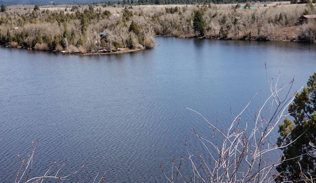 Secluded Lakefront Log Cabin, Wildlife and Fishing Paradise, Pet Friendly