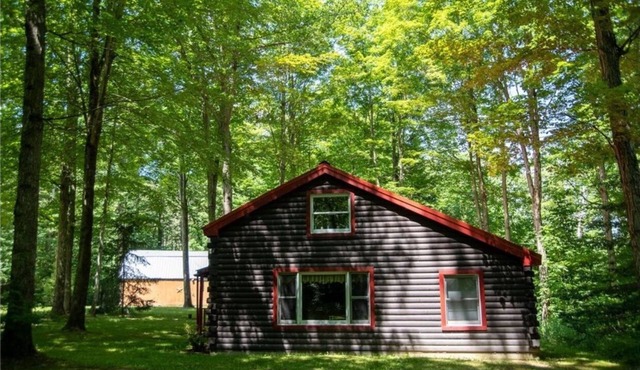 Secluded Log Cabin with walking trails in Howard NY -New in 2023-