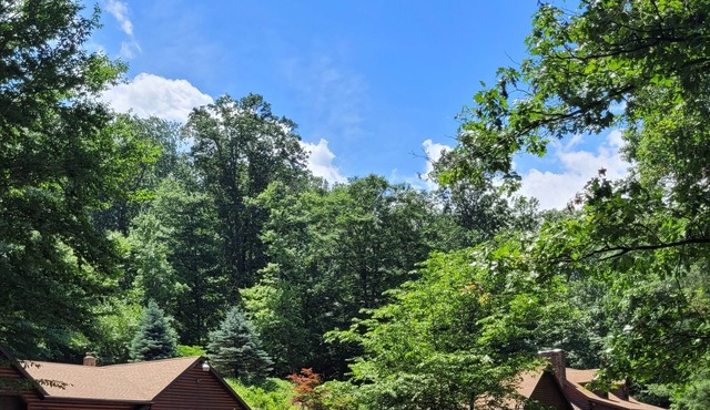 Secluded Log home in a very peaceful setting.
