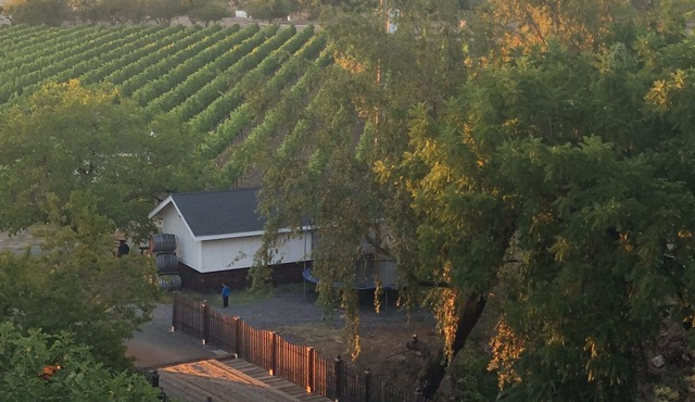 Secluded Luxury Vineyard Estate Guest House