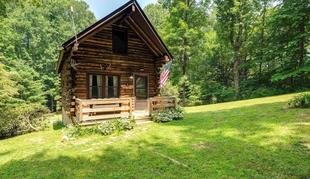 Secluded Meadows of Dan Cabin w/Fire Pit!