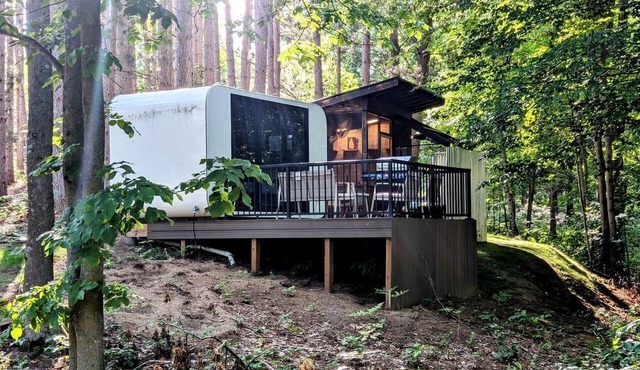 Secluded Modern Tiny House with Wood-Fired Hot Tub Near Trails in Sears, Michigan