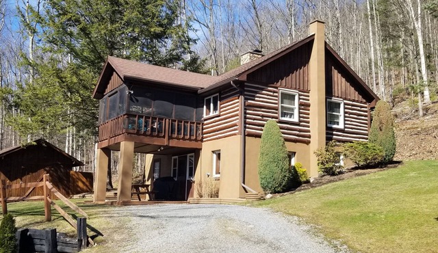 Secluded mountain cabin on 42 wooded acresnpond/game room/Pa. Canyon/rail trail
