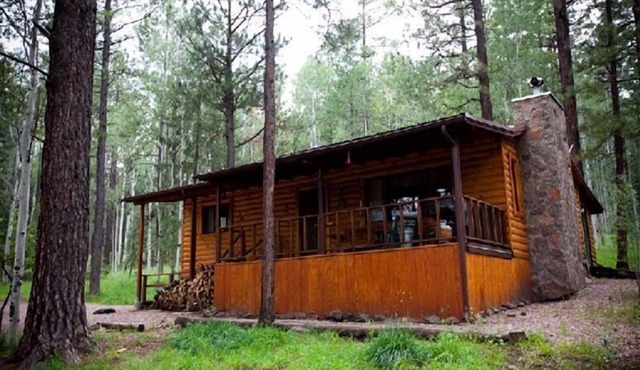 Secluded Mountain Cabin. Book Now!