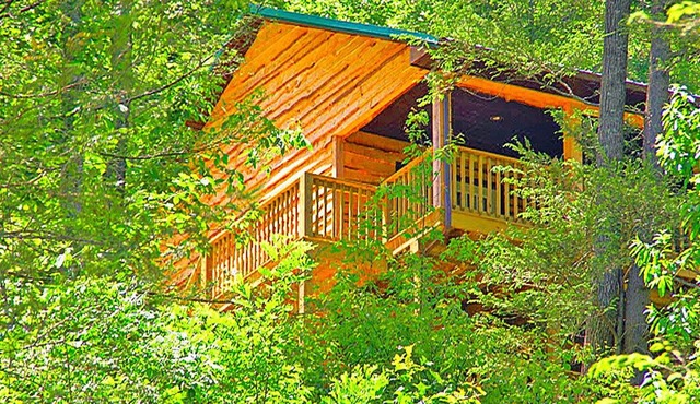 Secluded Mountain Cabin on a Large Estate with Water Fall, Hiking Trails & Creek