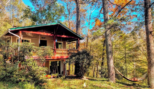 Secluded mountain hideaway w/hot tub. Close to town and pet-friendly!