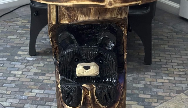 Secluded mountain home on over 10 wooded acres, modern, WiFi and pet friendly!