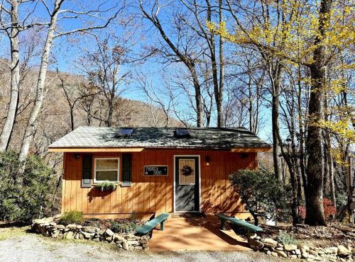 Secluded Mountain Cabin Retreat with Scenic Woodland Views near Black Mountain, NC