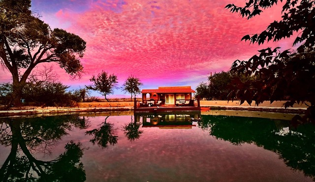 Secluded Oasis in the Desert