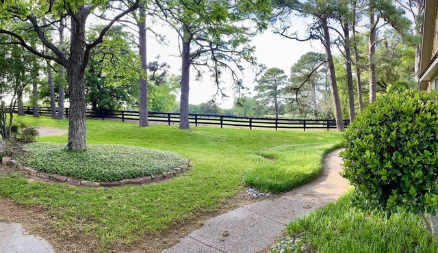 Secluded Oasis with Pool & Hot Tub. 5 minute walk to the lake.