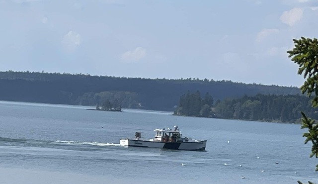 Secluded oceanfront rustic cabin