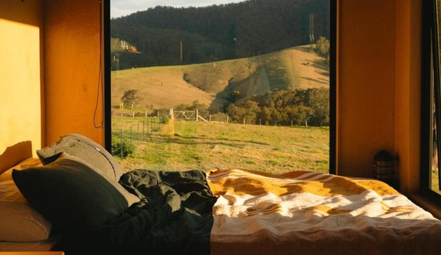 Secluded Off-Grid Cabin - Pet Friendly - Roscoe