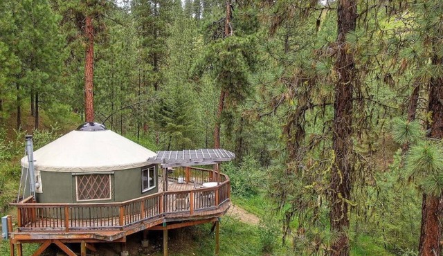 Secluded Off Grid Mountain Yurt with Power and Starlink