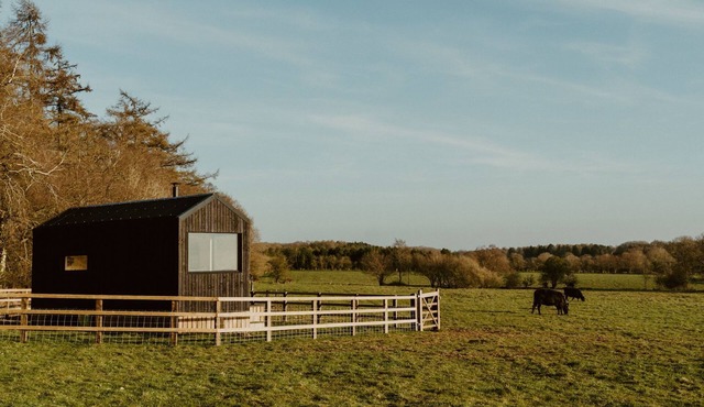 Secluded Off-Grid Woodland Hideaway with Scenic Trails